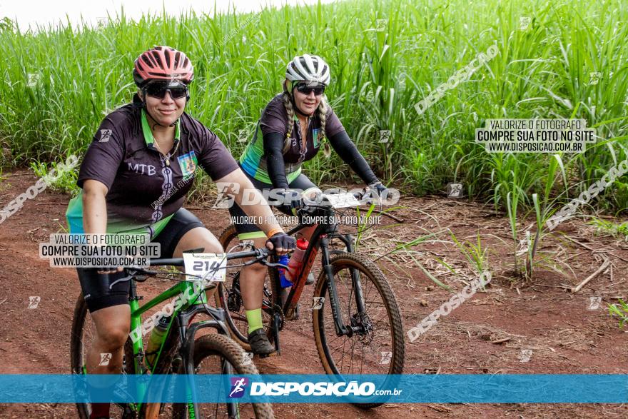 1ª EDIÇÃO DESAFIO ABELHA GRANDE - XCM