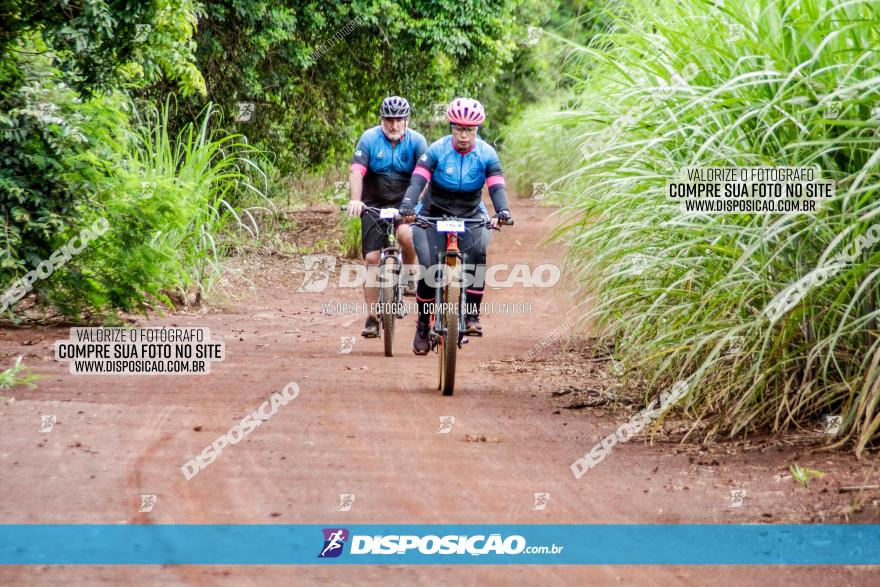 1ª EDIÇÃO DESAFIO ABELHA GRANDE - XCM