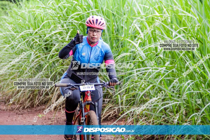 1ª EDIÇÃO DESAFIO ABELHA GRANDE - XCM