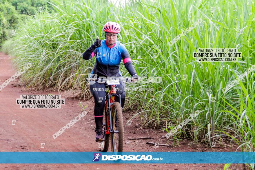 1ª EDIÇÃO DESAFIO ABELHA GRANDE - XCM