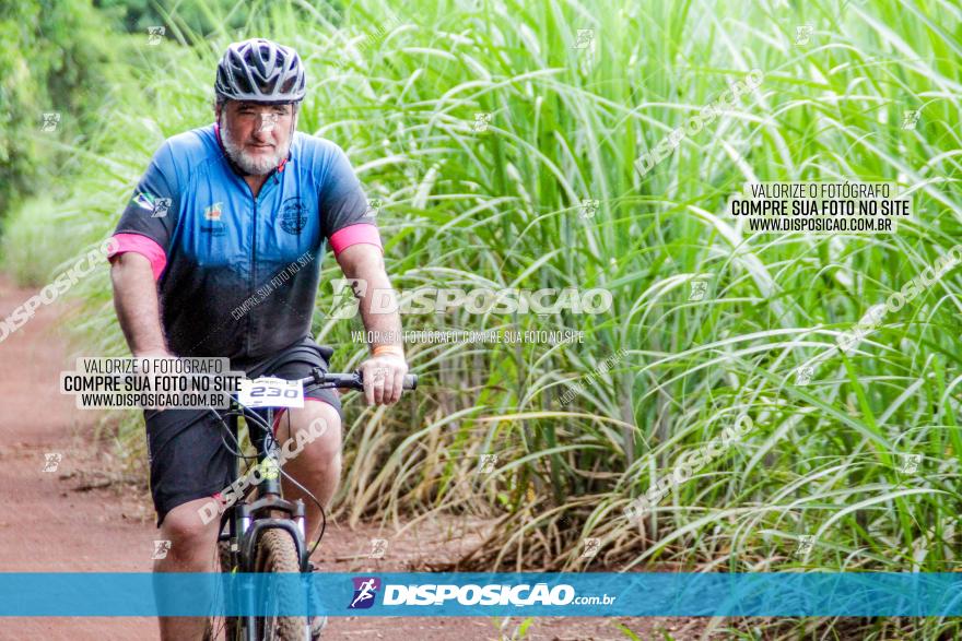 1ª EDIÇÃO DESAFIO ABELHA GRANDE - XCM