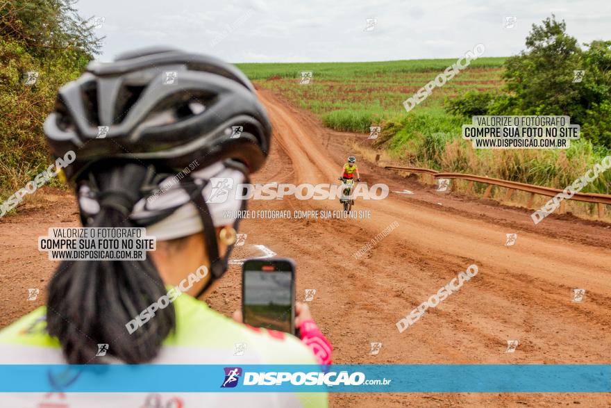 1ª EDIÇÃO DESAFIO ABELHA GRANDE - XCM