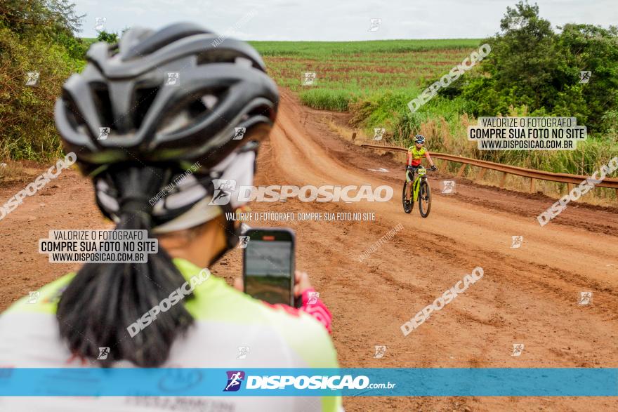 1ª EDIÇÃO DESAFIO ABELHA GRANDE - XCM