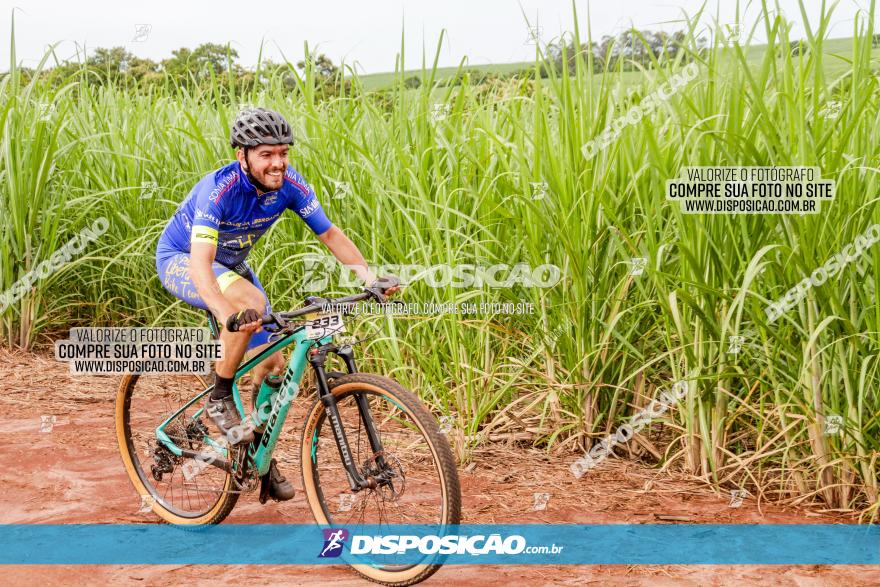 1ª EDIÇÃO DESAFIO ABELHA GRANDE - XCM