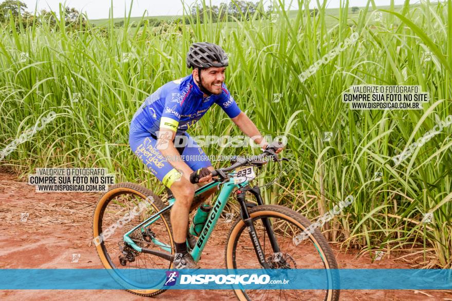 1ª EDIÇÃO DESAFIO ABELHA GRANDE - XCM