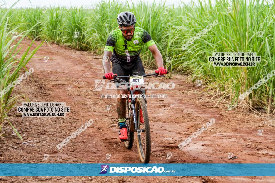 1ª EDIÇÃO DESAFIO ABELHA GRANDE - XCM