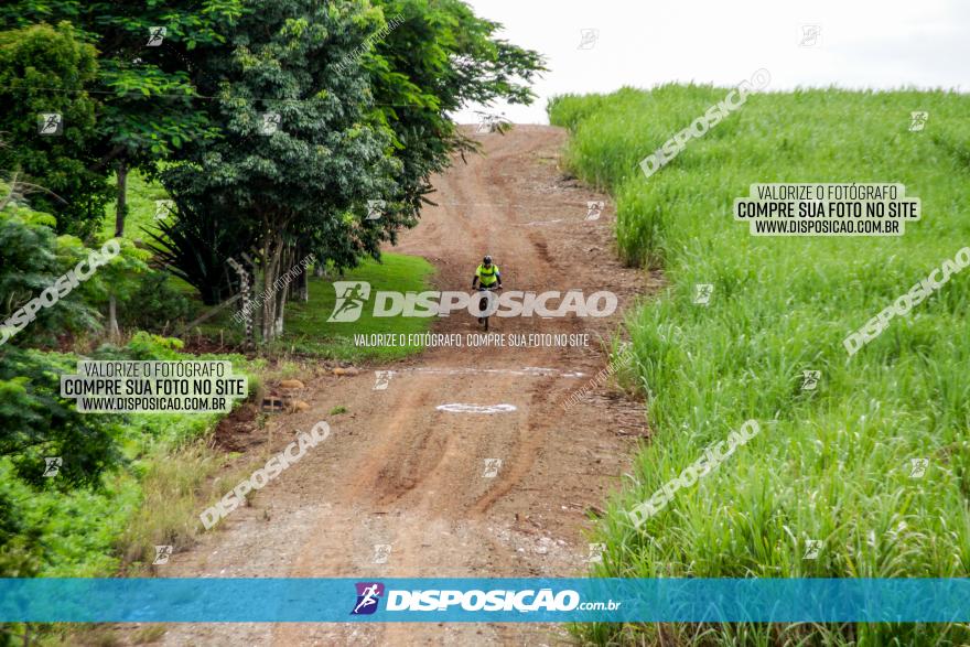 1ª EDIÇÃO DESAFIO ABELHA GRANDE - XCM