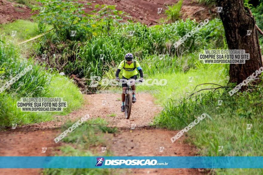 1ª EDIÇÃO DESAFIO ABELHA GRANDE - XCM