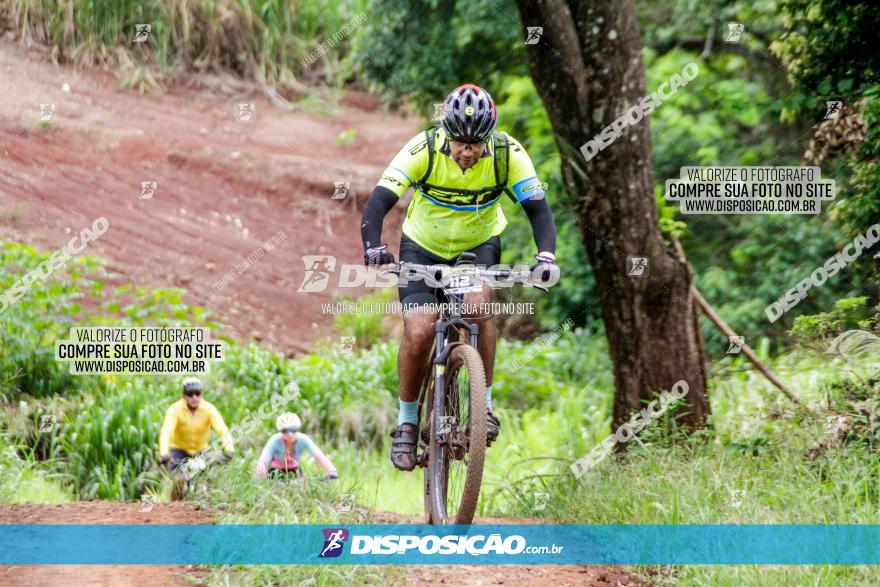 1ª EDIÇÃO DESAFIO ABELHA GRANDE - XCM