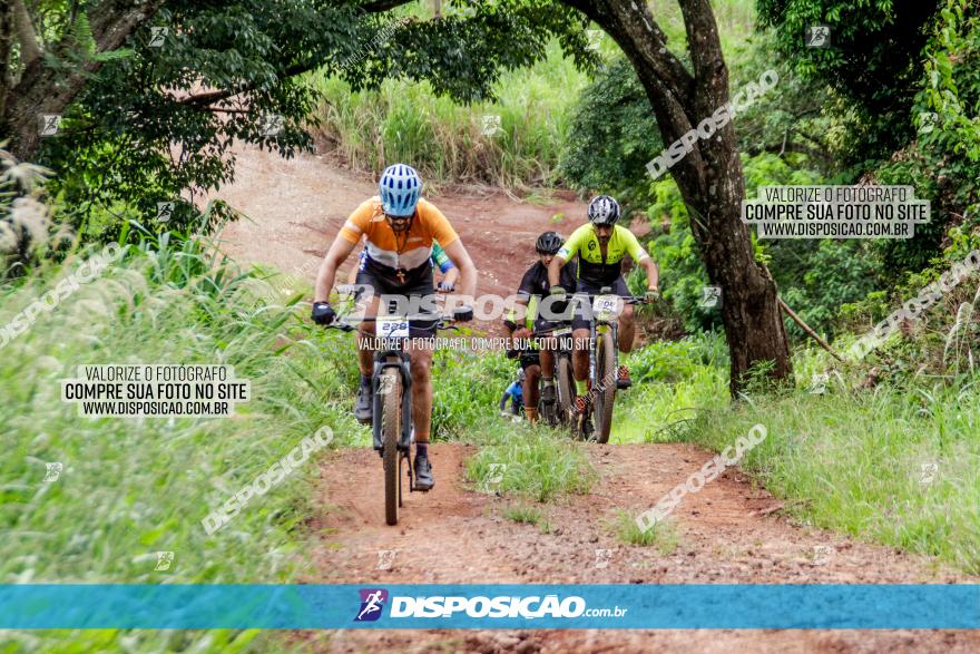 1ª EDIÇÃO DESAFIO ABELHA GRANDE - XCM