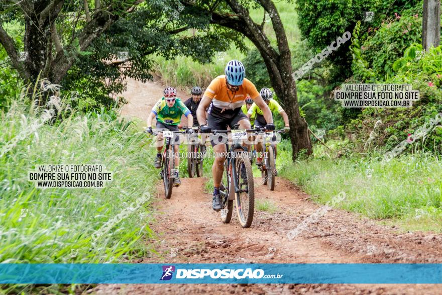 1ª EDIÇÃO DESAFIO ABELHA GRANDE - XCM