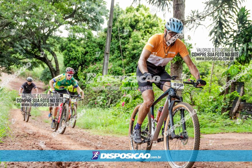 1ª EDIÇÃO DESAFIO ABELHA GRANDE - XCM