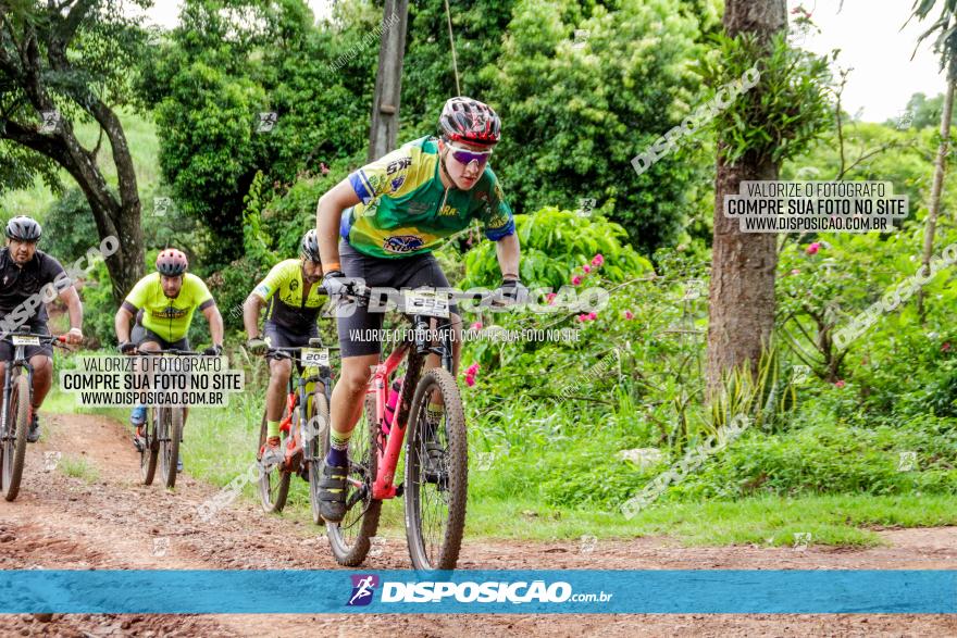 1ª EDIÇÃO DESAFIO ABELHA GRANDE - XCM