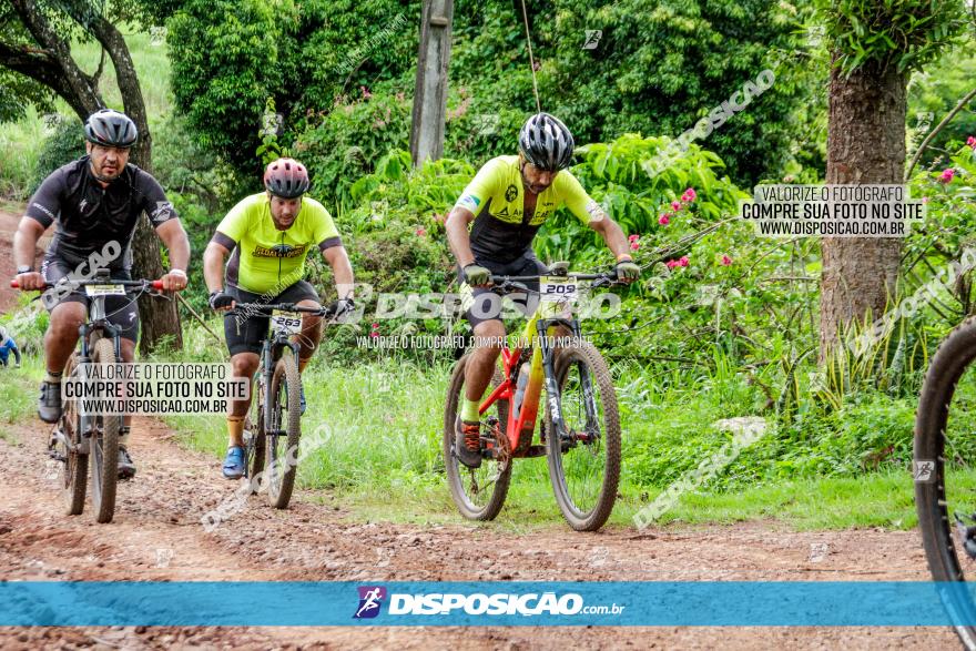 1ª EDIÇÃO DESAFIO ABELHA GRANDE - XCM