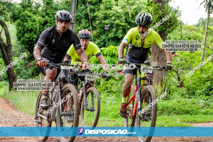 1ª EDIÇÃO DESAFIO ABELHA GRANDE - XCM