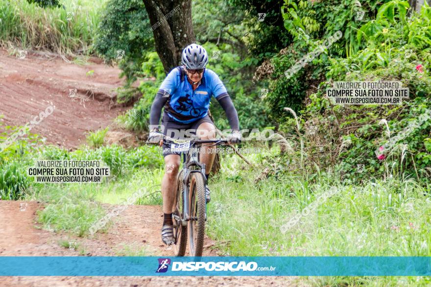 1ª EDIÇÃO DESAFIO ABELHA GRANDE - XCM