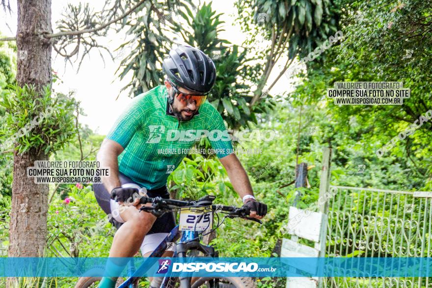 1ª EDIÇÃO DESAFIO ABELHA GRANDE - XCM