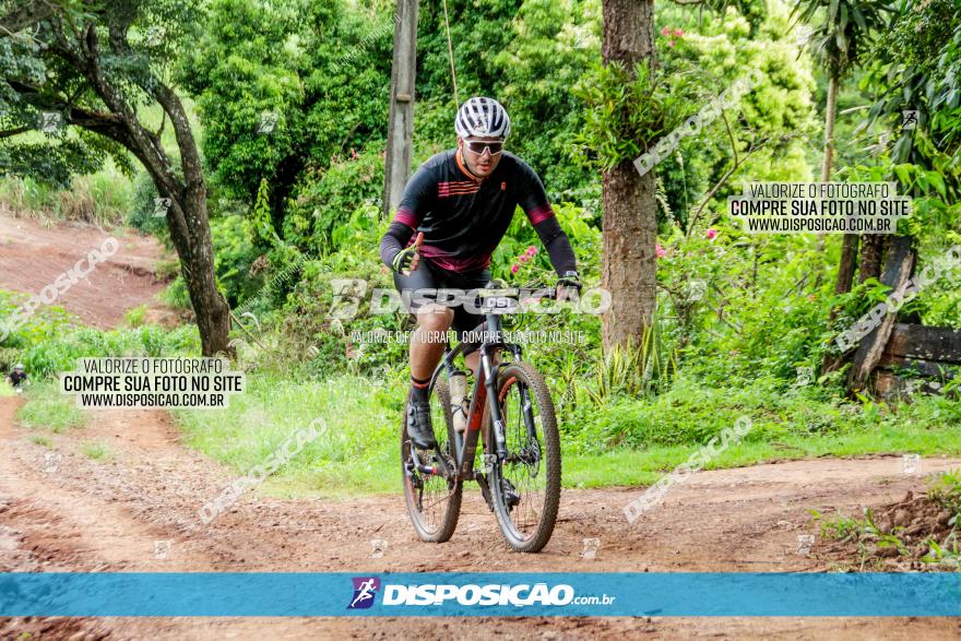 1ª EDIÇÃO DESAFIO ABELHA GRANDE - XCM