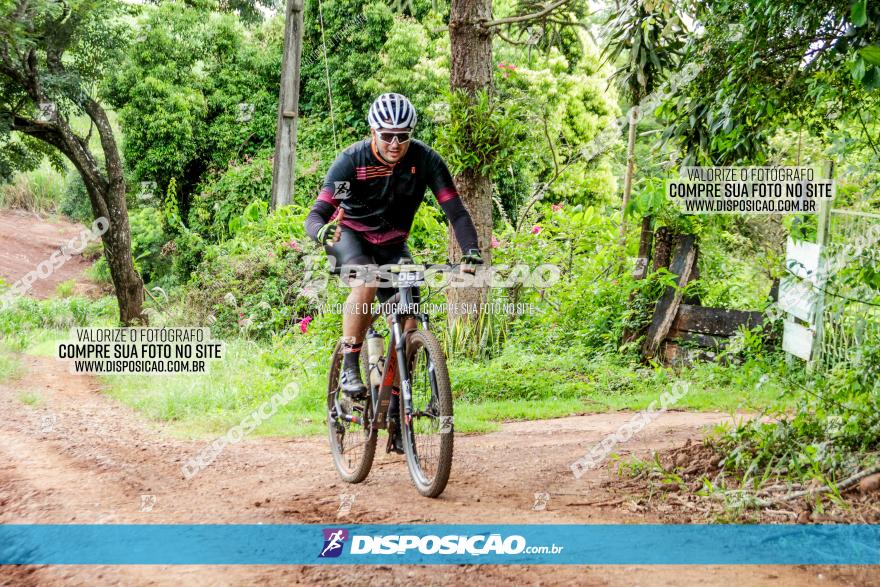 1ª EDIÇÃO DESAFIO ABELHA GRANDE - XCM