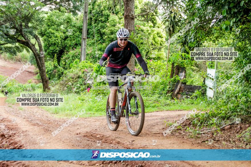 1ª EDIÇÃO DESAFIO ABELHA GRANDE - XCM