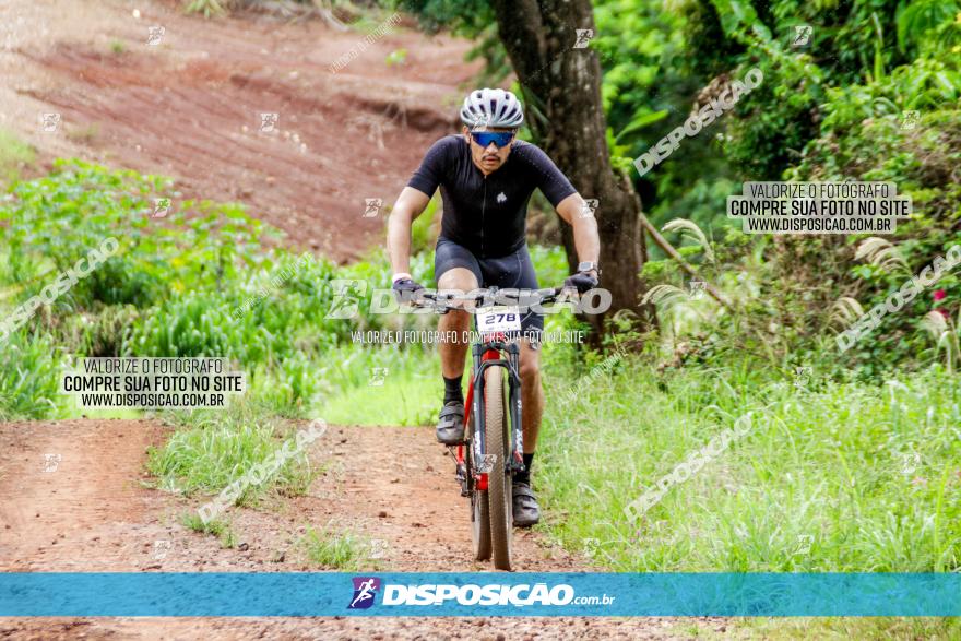 1ª EDIÇÃO DESAFIO ABELHA GRANDE - XCM