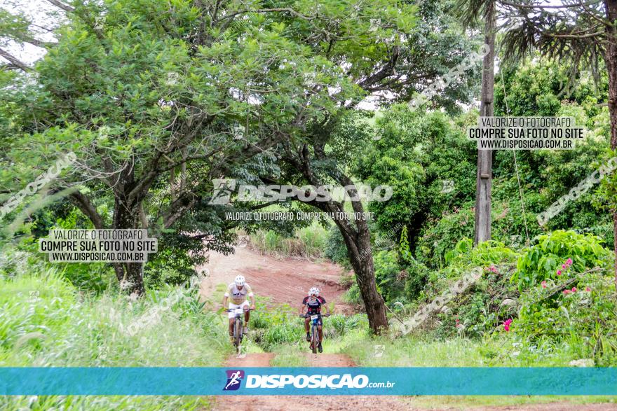 1ª EDIÇÃO DESAFIO ABELHA GRANDE - XCM