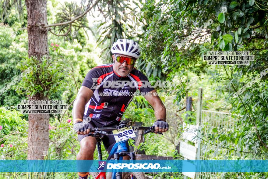 1ª EDIÇÃO DESAFIO ABELHA GRANDE - XCM