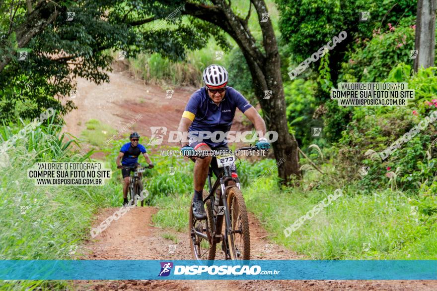 1ª EDIÇÃO DESAFIO ABELHA GRANDE - XCM