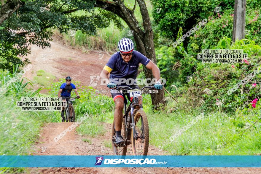 1ª EDIÇÃO DESAFIO ABELHA GRANDE - XCM