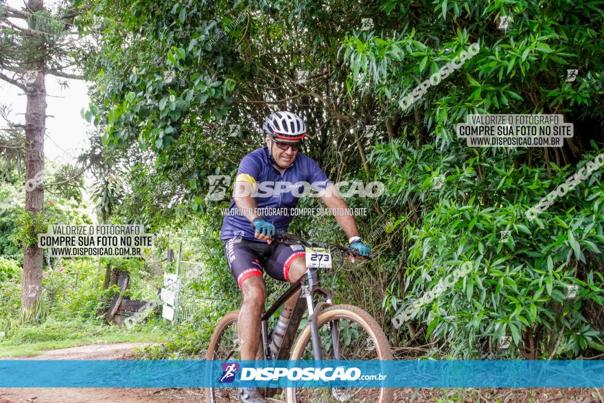 1ª EDIÇÃO DESAFIO ABELHA GRANDE - XCM