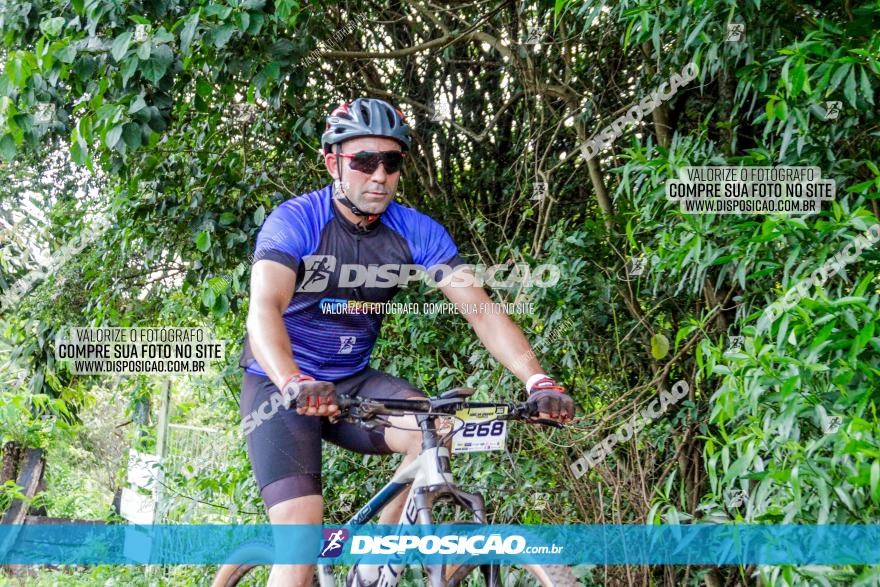 1ª EDIÇÃO DESAFIO ABELHA GRANDE - XCM