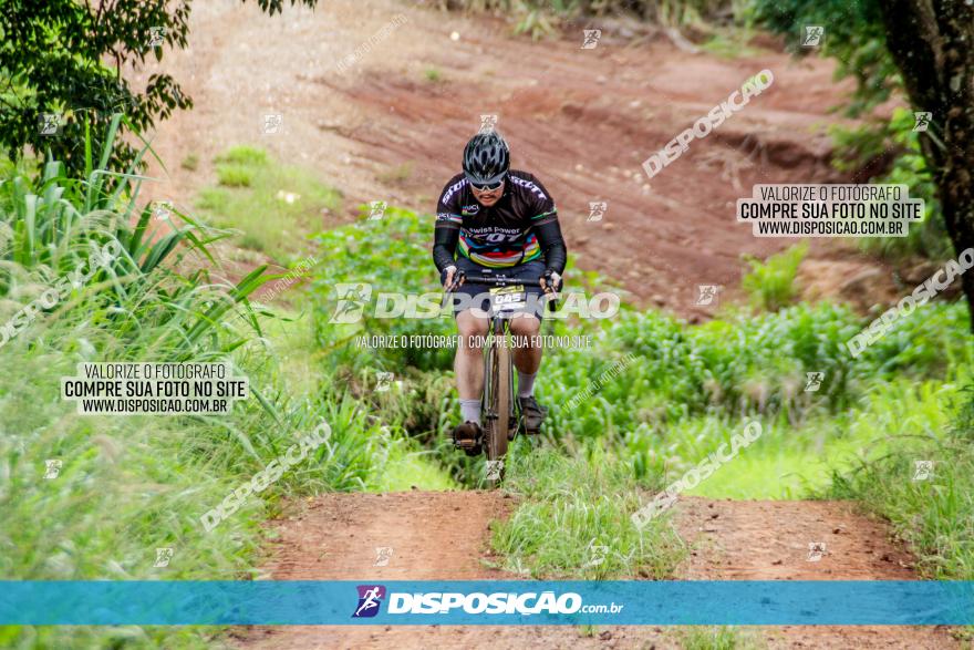 1ª EDIÇÃO DESAFIO ABELHA GRANDE - XCM