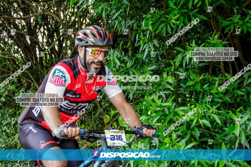 1ª EDIÇÃO DESAFIO ABELHA GRANDE - XCM