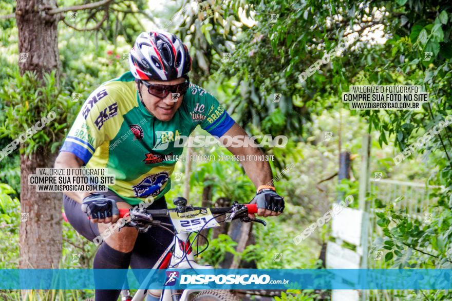 1ª EDIÇÃO DESAFIO ABELHA GRANDE - XCM