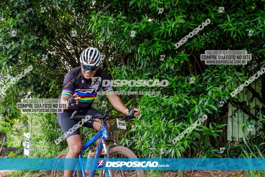 1ª EDIÇÃO DESAFIO ABELHA GRANDE - XCM