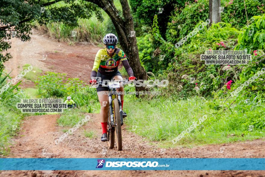 1ª EDIÇÃO DESAFIO ABELHA GRANDE - XCM