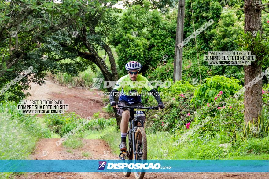 1ª EDIÇÃO DESAFIO ABELHA GRANDE - XCM