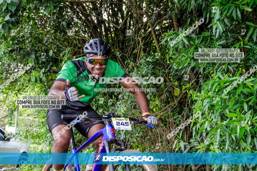 1ª EDIÇÃO DESAFIO ABELHA GRANDE - XCM