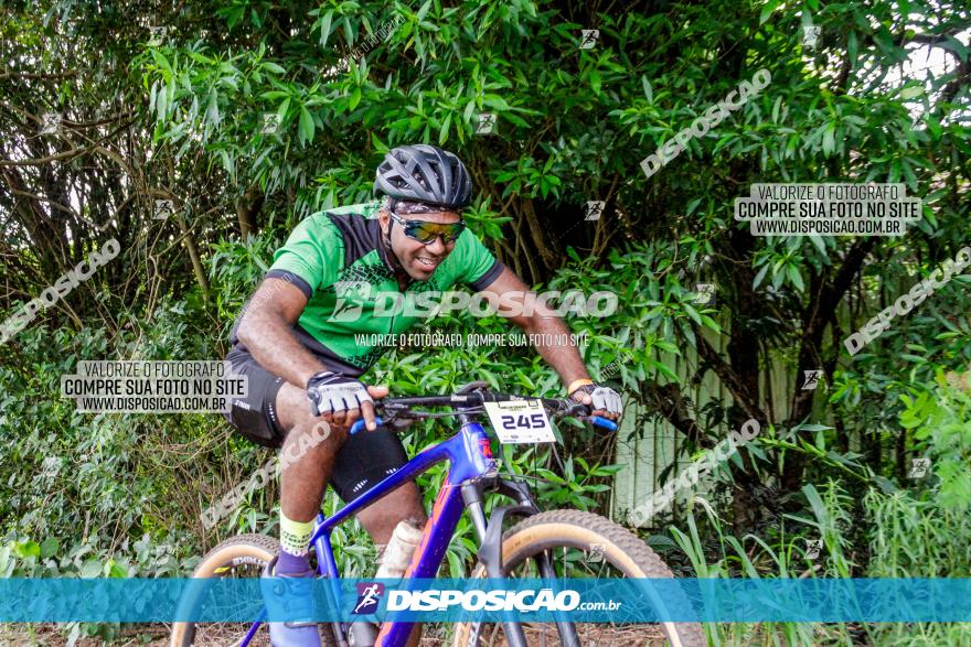 1ª EDIÇÃO DESAFIO ABELHA GRANDE - XCM