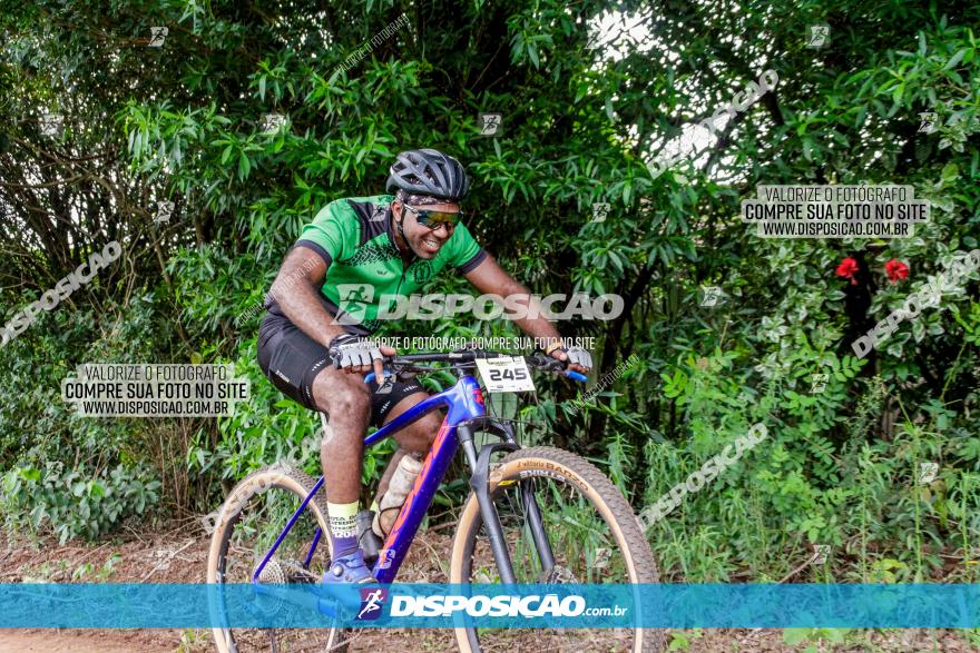 1ª EDIÇÃO DESAFIO ABELHA GRANDE - XCM