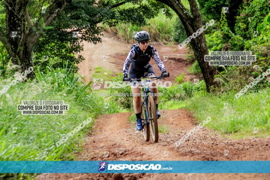 1ª EDIÇÃO DESAFIO ABELHA GRANDE - XCM