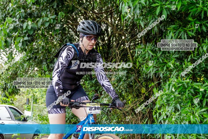 1ª EDIÇÃO DESAFIO ABELHA GRANDE - XCM