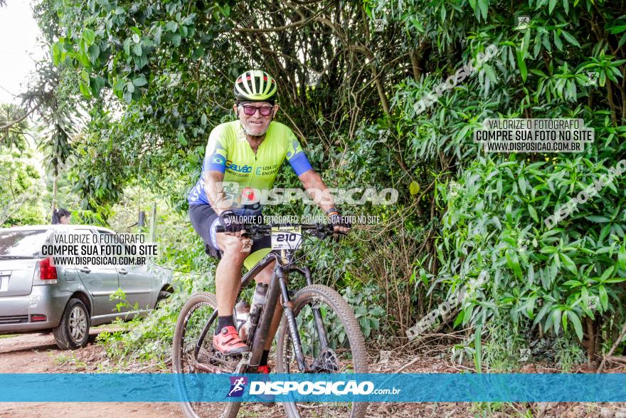 1ª EDIÇÃO DESAFIO ABELHA GRANDE - XCM