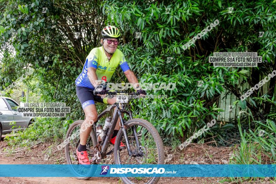 1ª EDIÇÃO DESAFIO ABELHA GRANDE - XCM