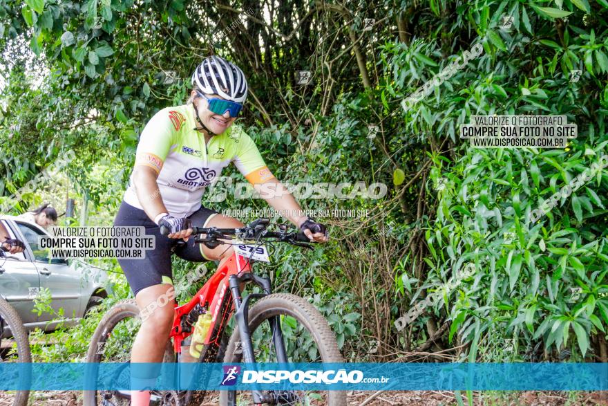 1ª EDIÇÃO DESAFIO ABELHA GRANDE - XCM