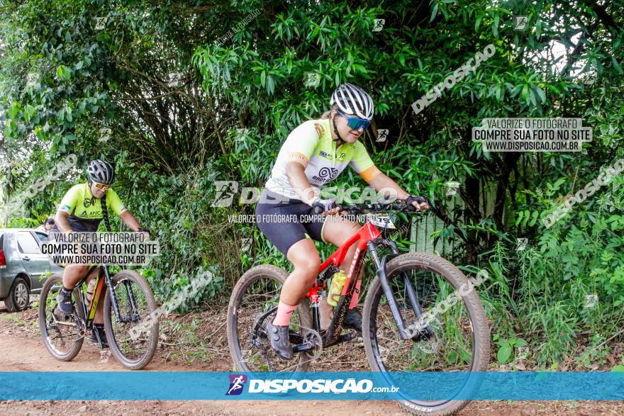 1ª EDIÇÃO DESAFIO ABELHA GRANDE - XCM