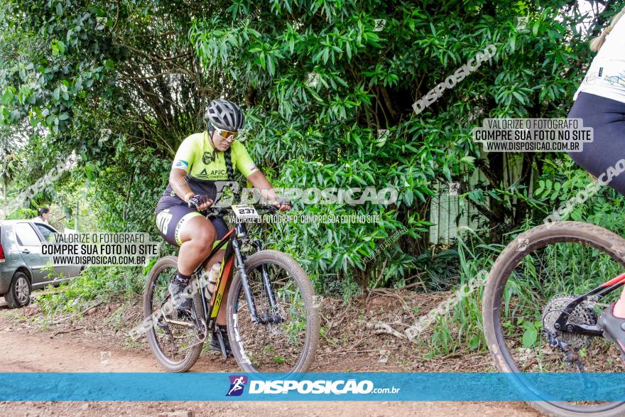 1ª EDIÇÃO DESAFIO ABELHA GRANDE - XCM