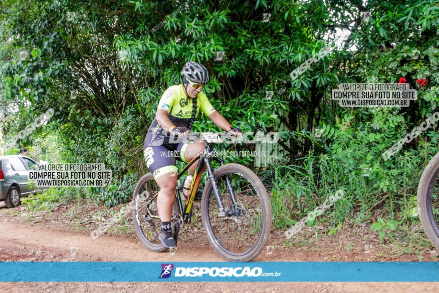 1ª EDIÇÃO DESAFIO ABELHA GRANDE - XCM