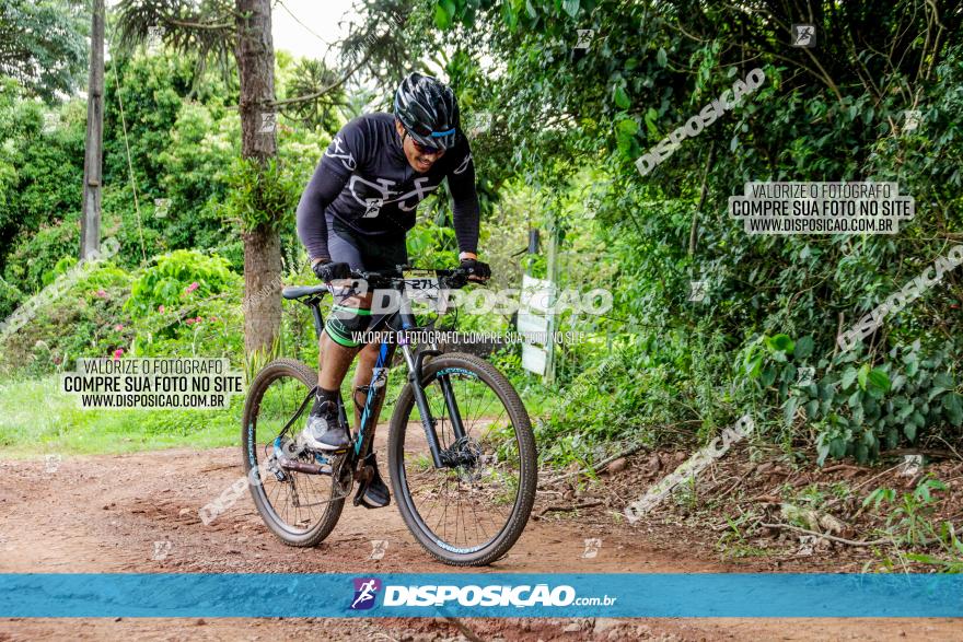 1ª EDIÇÃO DESAFIO ABELHA GRANDE - XCM