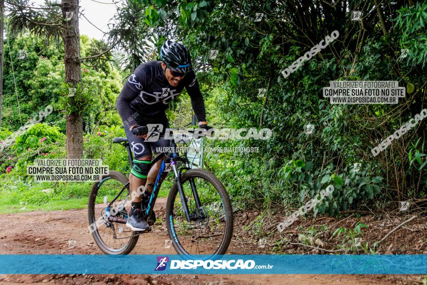 1ª EDIÇÃO DESAFIO ABELHA GRANDE - XCM